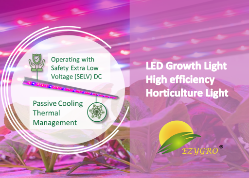 EZYGRO Precision LED Grow Lights for Commercial CEA Lighting